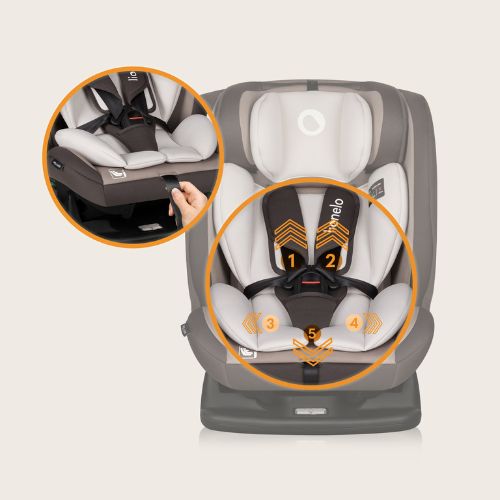 lionelo Aart i-Size Beige Latte — Kindersitz